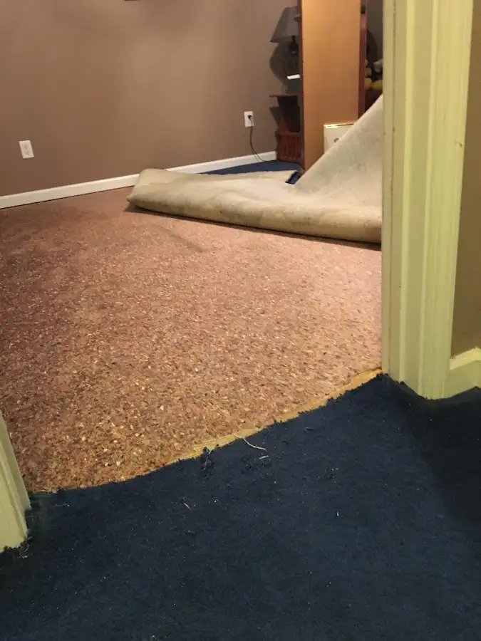 Carpet pad removal revealing water damage during Water Mitigation Services in Kingsford