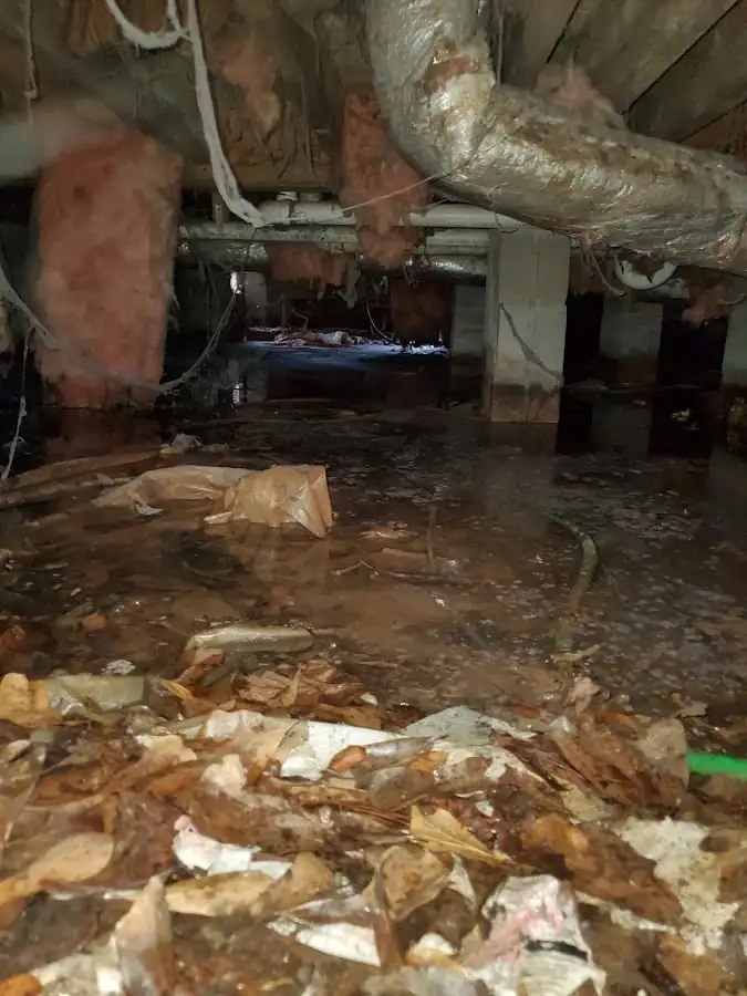 Crawl space flood assessment for Commercial Water Damage Restoration in Kingsford