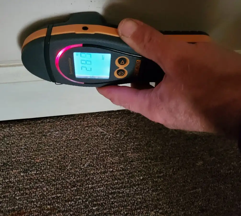 Moisture detection at baseboard during Burst Pipe Cleanup in Kingsford